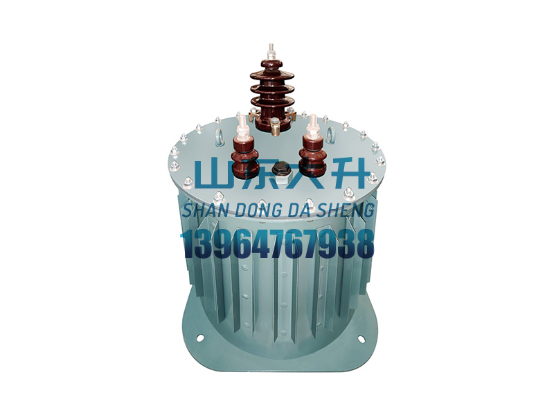 OZO-DS系列水冷臭氧發(fā)生器變壓器